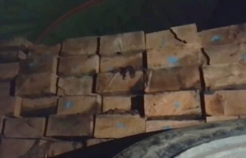 Aksi Pendistribusian Kayu Ilegal Berjalan Mulus, Diduga Dibekingi Oknum Aparat