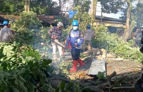 Angin Kencang Terjang Cimahi, Tumbangkan Sejumlah Pohon