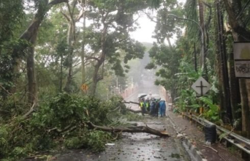 Dua Pohon Di Kawasan Komplek Pemkot. Cimahi Tumbang