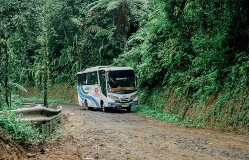 DAMRI Gagal Dapat PMN, PUKIS: Negara Setengah Hati Urus Transportasi Publik