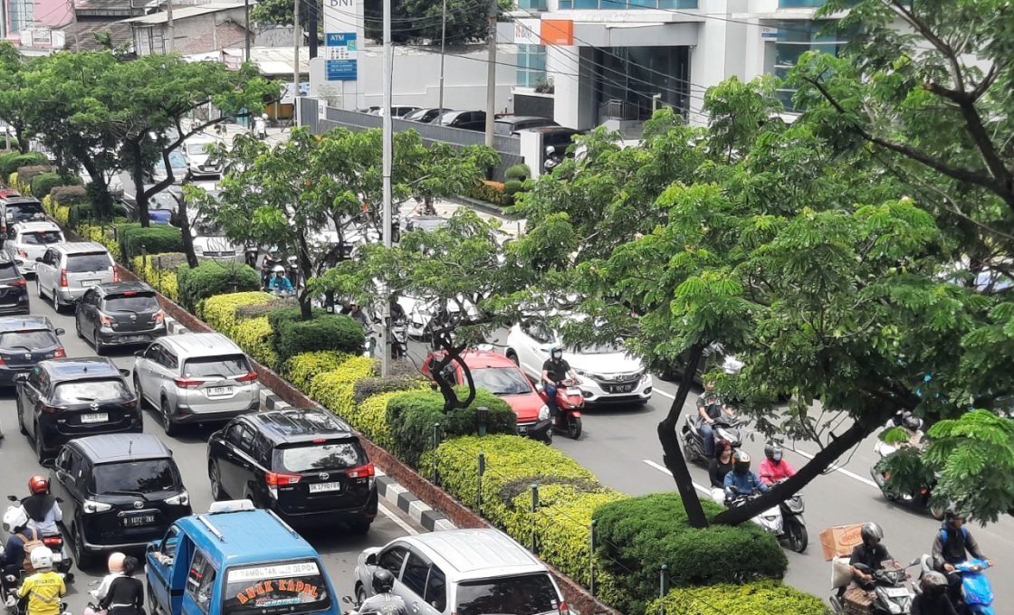 HUT ke – 27 Kota Depok, DLH Lakukan Penanaman Pohon Tebubaya