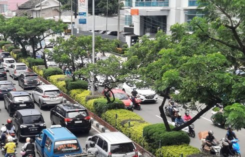 HUT ke – 27 Kota Depok, DLH Lakukan Penanaman Pohon Tebubaya