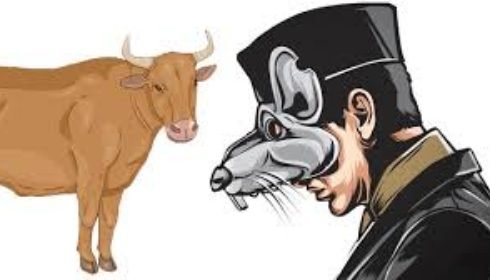 Kasus Dugaan Korupsi Pengadaan Sapi di Buol Naik Penyidikan, Kades Talaki Terancam Jerat Berat