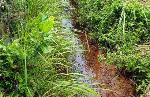 Irigasi Wangundirja Telan Anggaran Rp. 1,57 Miliar, Petani Ciamis Tetap Kekeringan