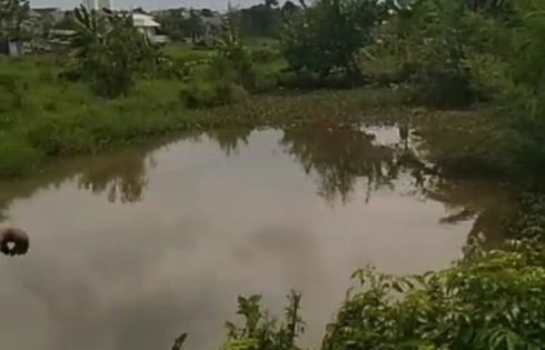 GELOMBANG Sebut Harmoni Semu di Daerah, Saat Pimpinan Daerah dan APH ‘Mesra’, Kasus Korupsi Terbengkalai