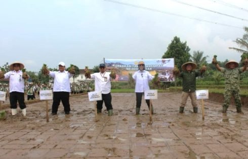 Pemkab. Sukabumi Optimalkan Lahan Produktif Untuk Perkuat Swasembada Pangan