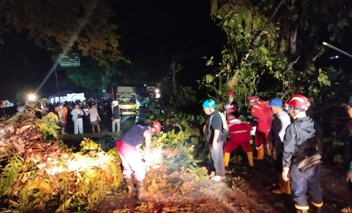 Pemkab Sukabumi Gerak Cepat Tangani Pohon Tumbang di Jalur Nasional Palabuhanratu – Banten
