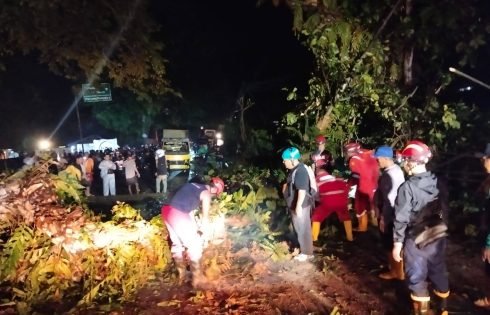 Pemkab Sukabumi Gerak Cepat Tangani Pohon Tumbang di Jalur Nasional Palabuhanratu – Banten