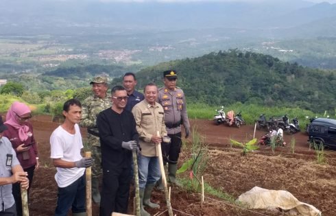 Desa Panjalu Dipilih Jadi Tempat Penanaman Sorgum Berharap Memperkuat Ketahanan Pangan