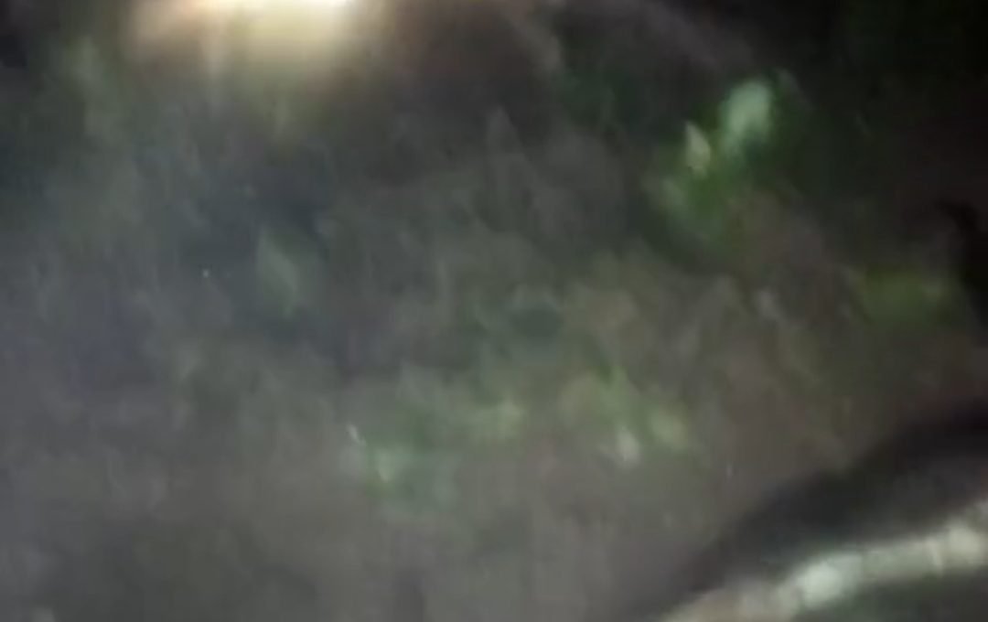 Longsor Tutup Total Jalur Waluran – Palangpang Ciemas Sukabumi, Alat Berat Disiagakan