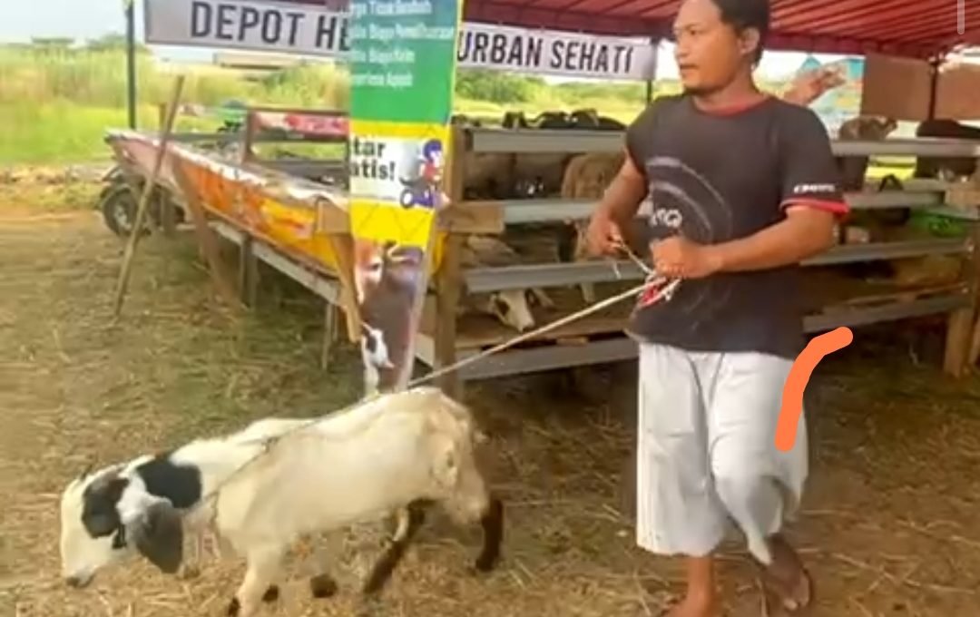 Yayasan MPS dan Depot Sehati Cikarang Buka Program Qurban Untuk Yatim dan Dhuafa
