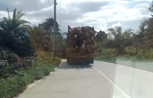 PT TRH Jelaskan Keabsahan Kegiatan Angkutan Hasil Hutan di Wilayah Tabalar, Berau