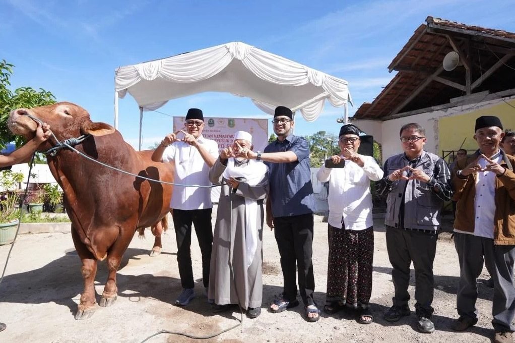Penyembelihan Hewan Kurban Bantuan Presiden RI Digelar di Ponpes Miftahussa’adah