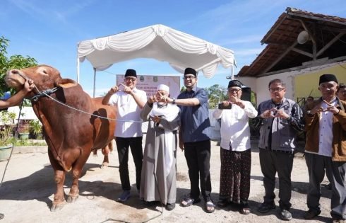 Penyembelihan Hewan Kurban Bantuan Presiden RI Digelar di Ponpes Miftahussa’adah