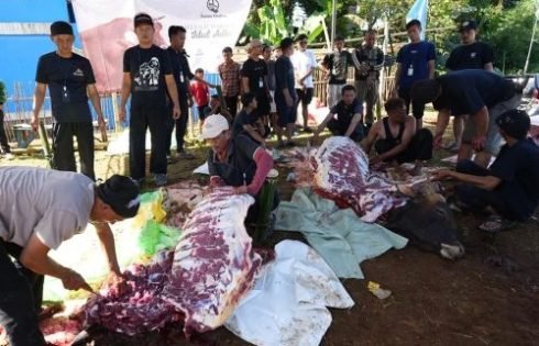 Pemkot Sukabumi Terima Bantuan Hewan Kurban 6,7 Ton dari Yayasan Bakrie Amanah