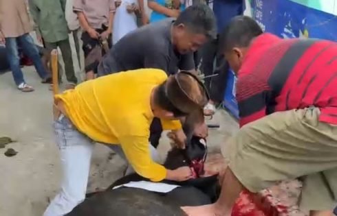 AIdul Adha di Masjid Al Hikmah Kayuagung Berlangsung Khidmat, Semangat Kurban dan Kebersamaan Menguat