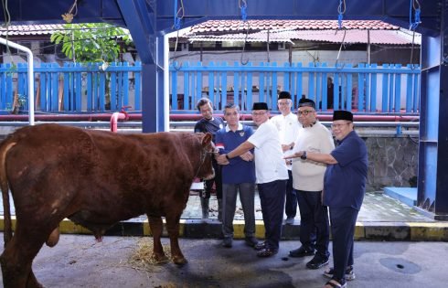 Kemnaker Himpun 93 Hewan Kurban, Menaker : Idul Adha Momentum Perkuat Kepedulian dan Kinerja
