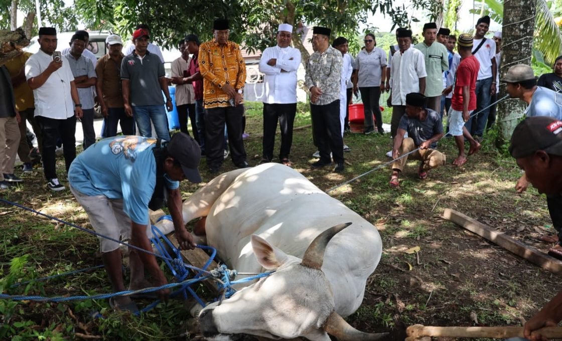 Wagub Maluku Gelar Qurban di Idul Adha 1447 H : Jaga Tradisi dan Perkuat Kebersamaan Umat