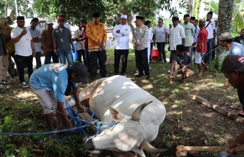 Wagub Maluku Gelar Qurban di Idul Adha 1447 H : Jaga Tradisi dan Perkuat Kebersamaan Umat