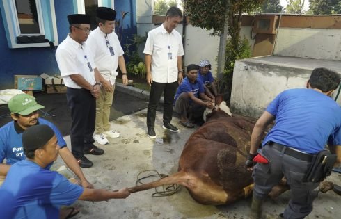Jamkrindo Salurkan Hewan Qurban Untuk Perkuat Kepedulian dan Solidaritas Sosial