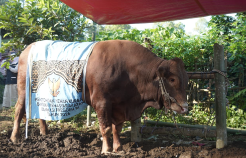 Bupati Garut Serahkan Sapi Bantuan Presiden Bagi Warga Cigedug
