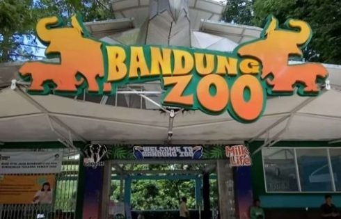 Belum Tercapai Kesepakatan Dengan Mitra, Pemkot. Bandung Lelang Ulang Pengelolaan Bandung Zoo