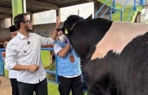 Jeje Ritchie Kunjungi Lapak Penjualan Hewan Kurban, Pastikan Dijual Dalam Kondisi Sehat