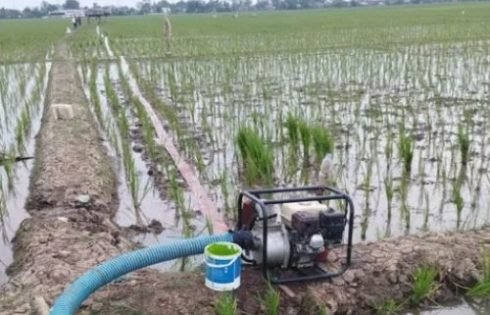 Antisipasi Dampak Kemarau, Pemkab Garut Siagakan 90 Pompa Air Untuk Selamatkan Lahan Pertanian