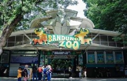 Pemkot Bandung Tunjuk Pengelola Baru Bandung Zoo, Revitalisasi dan Konservasi Jadi Prioritas