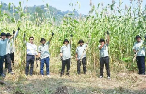 Wabup Sukabumi Dorong Pengembangan Sorgum Sebagai Penggerak Ekonomi dan Energi Bersih