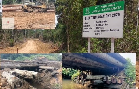 Diduga Beroperasi di Luar RKT, Aktivitas Penebangan Kayu Log PT WSS dan PT MK di Wilayah PT Inhutani I Berau Disorot