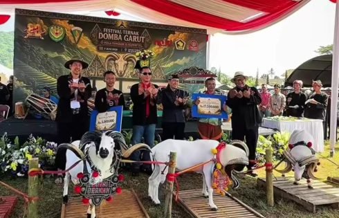 Festival Ternak Domba Garut Piala Pangdam III/Siliwangi Berlangsung Meriah