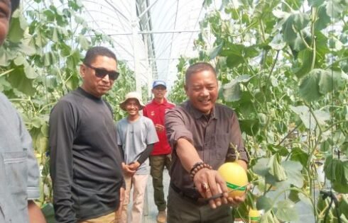 Kecamatan Cisolok Resmikan Agrowisata Petik Melon Premium SAM FARM Greenhouse