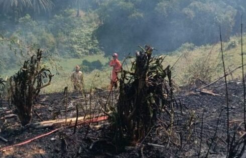 Damkar Sukabumi Berhasil Padamkan Kebakaran Lahan di Kalapanunggal, Api Tak Sempat Meluas