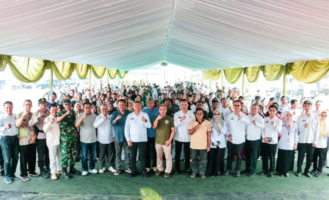 Gerakan Tanam Hingga Panen Padi Organik, Sekda Ciamis, “Ini Buah Kerja Keras Semua Yang Terlibat”