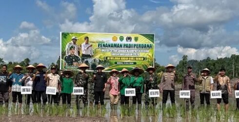 Tanam Padi Perdana di Kampung Semurut, Berau Perkuat Ketahanan Pangan