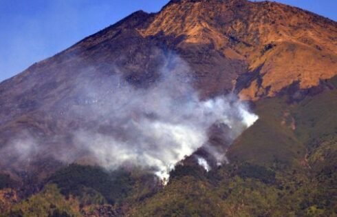 Kebakaran Hanguskan Lahan di Puncak Habibi Cisolok, Penyebab Masih Diselidiki