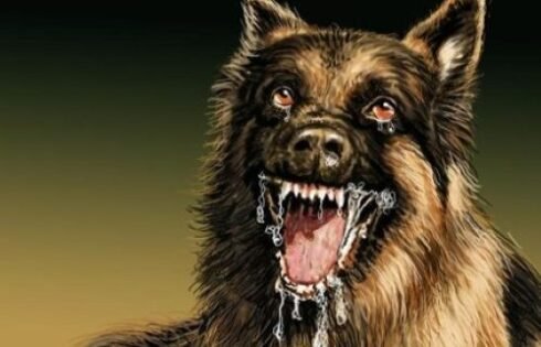 Dinas Peternakan Sukabumi Perkuat Pencegahan Rabies Melalui Vaksinasi Hewan Peliharaan di Gegerbitung
