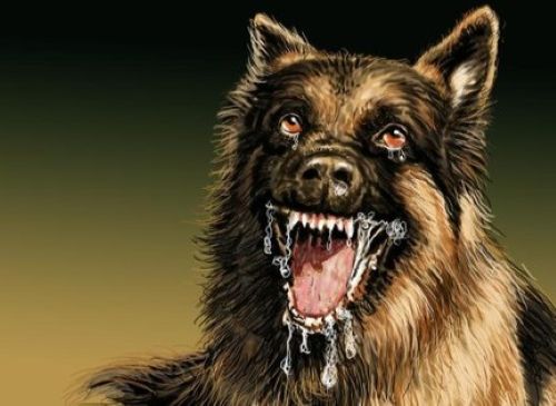 ilustrasi-penyakit-anjing-gila_169
