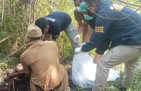 Polisi Selidiki Penemuan Kerangka Manusia di Hutan Jati Sagaranten, Identitas Korban Masih Misterius