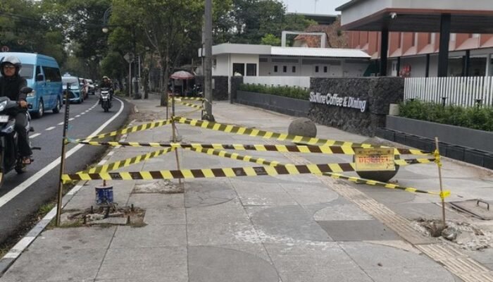 Motif Penebangan 10 Pohon di Jalan Riau Bandung Terbongkar, Ternyata Demi Videotron