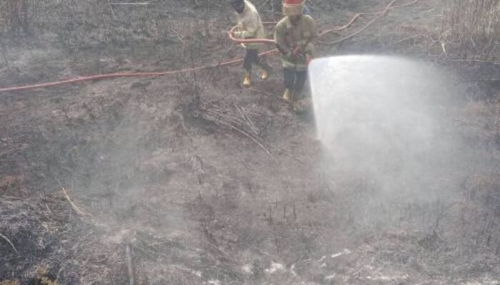 Lahan Alang – Alang 2.000 Meter Persegi Terbakar di Ciracap Sukabumi