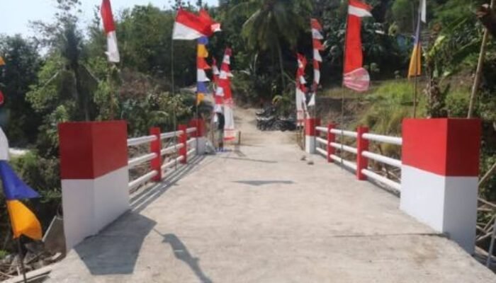 Wabup Sukabumi Ikuti Peresmian 3.395 Jembatan Garuda dan 3.000 Titik Air Bersih Secara Virtual