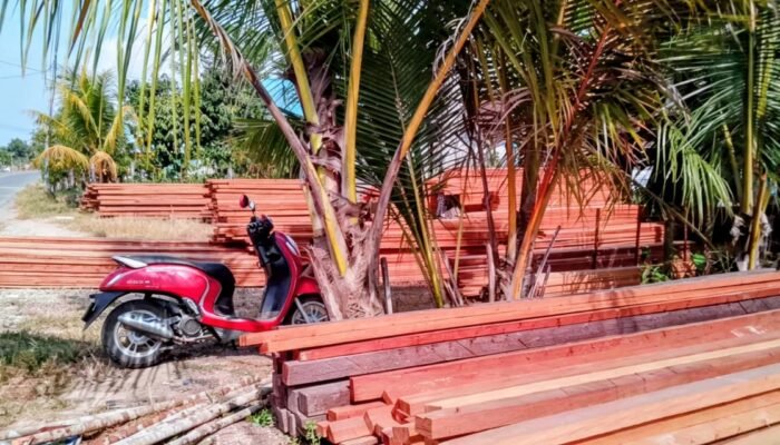 Diduga Beroperasi Tanpa Legalitas, Pabrik Pengolahan Kayu di Marancang Ulu Berau Disorot