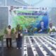 DPRD Bogor Dorong Hidroponik, Lahan Sempit Jadi Sumber Pangan