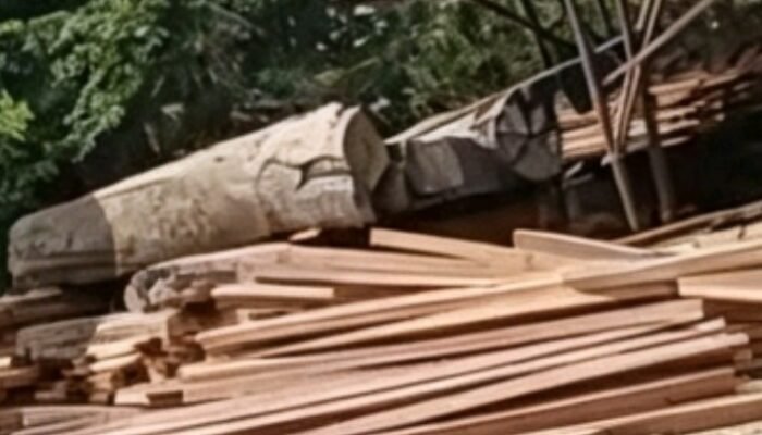 Diduga Ada Pengolahan Kayu dan Penambangan Pasir Ilegal di Pelabuhan Haji Coleng, Kayu Ulin Ikut Disorot