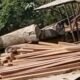 Diduga Ada Pengolahan Kayu Ilegal di Belakang Hotel Pulau Sambit, Kayu Ulin Disebut Ikut Diproses