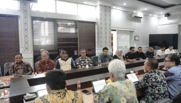 DEN Percepat Pengembangan Potensi Panas Bumi
