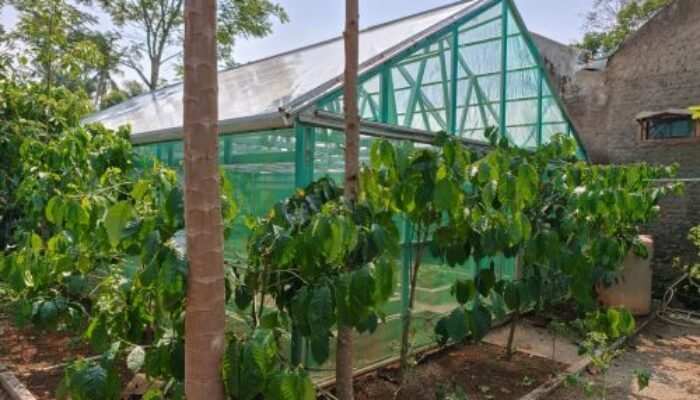 Jamkrindo Perkuat Pemberdayaan Masyarakat Garut, Integrasikan Lingkungan, Pertanian, Teknologi hingga Hilirisasi