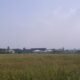 960 Hektare Sawah di Cianjur Terancam Kekeringan, Pompanisasi Dimaksimalkan